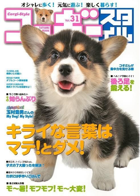 Yesasia Corgi Style Vol 31 日文書籍 郵費全免