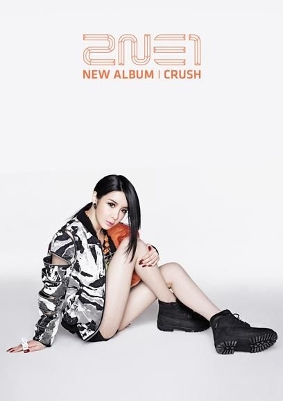 YESASIA: Recommended Items - 2NE1 New Album - Crush (Pink Version