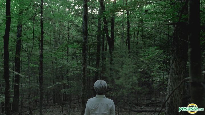 YESASIA: Ryuichi Sakamoto：CODA (2018) (2Blu-ray + 2DVD) (Limited