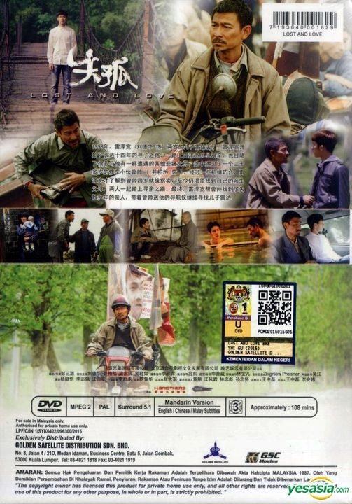 Andy lau movie lost and love