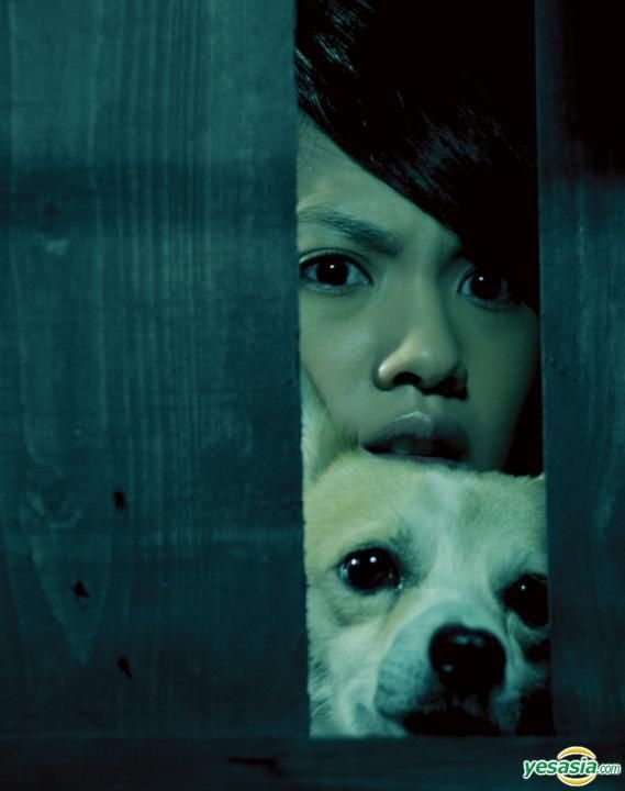 童眼 The Child&#39;s Eye 3D Blu-Ray  Region A   English Subtitled  2D and 3D versions included Rainie Yang The Child's Eye - Wikipedia