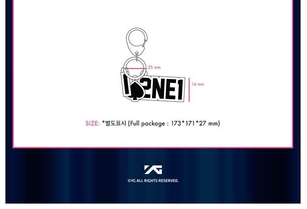 YESASIA: Image Gallery - 2NE1 World Tour Concert 'All or Nothing