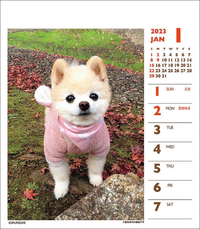 YESASIA Shunsuke 2023 Mini Weekly Calendar (Japan Version) CALENDAR