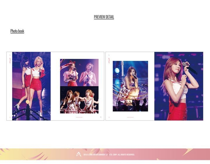 Apink 2nd Concert: Pink Island (2DVD + Photobook) (Korea Version) (shin-