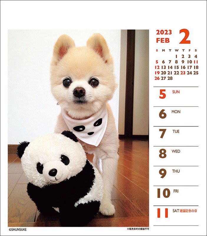 YESASIA Shunsuke 2023 Mini Weekly Calendar (Japan Version) CALENDAR