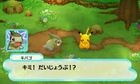 寵物小精靈 不思議的迷宮 偉大之門與無限大迷宮(3DS) (日本版) 