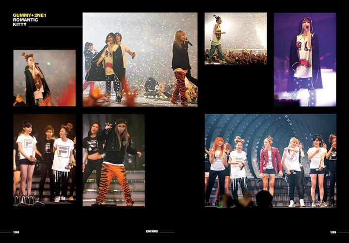 YESASIA: Image Gallery - 2010 YG Family Concert (DVD+Photobook) (2