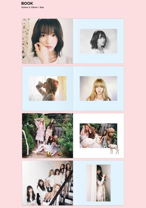 OH MY GIRL Windy Dayメンバー8人 サイン入りカード OH MY GIRL Windy