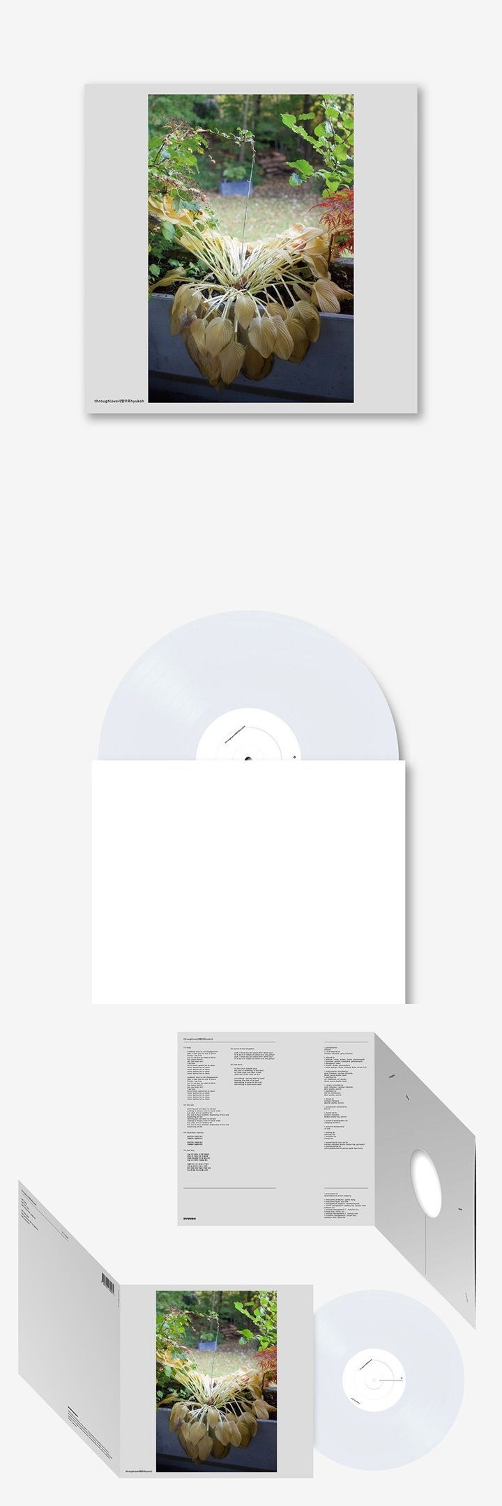 HYUKOH THROUGH LOVE VINYL LP レコード アナログ盤 YESASIA: hyukoh - through love (180g Opaque White Color LP) Music