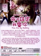You Are My Destiny (DVD) (Ep. 1-20) (End) (Multi-audio) (English Subtitled) (MBC TV Drama) (Singapore Version)