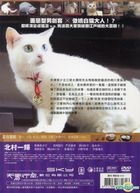 貓侍 (DVD) (台灣版) 